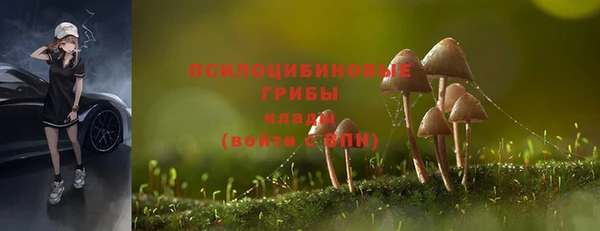 PSILOCYBIN Богородицк